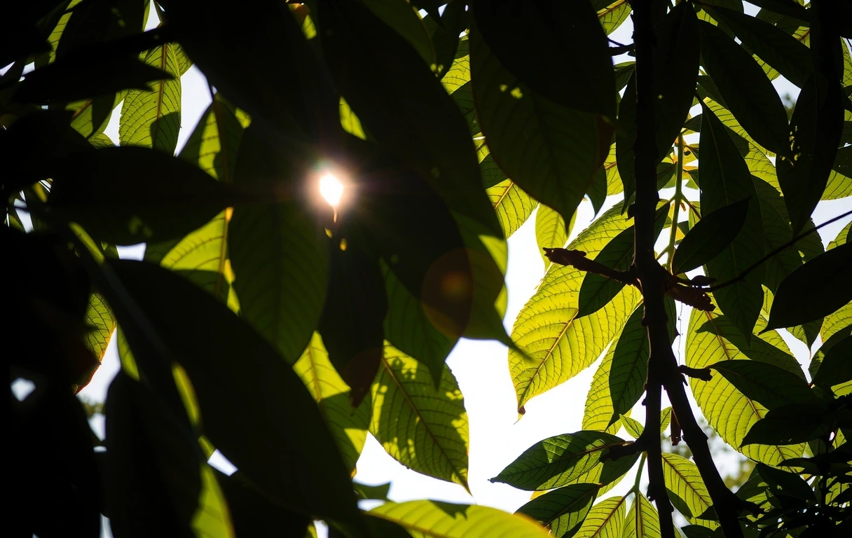 Сезонна грижа за кожата
